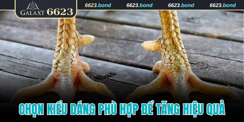 Chọn kiểu dáng phù hợp để tăng hiệu quả chiến đấu