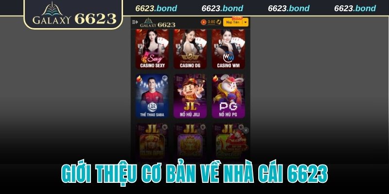 Giới thiệu cơ bản về nhà cái 6623