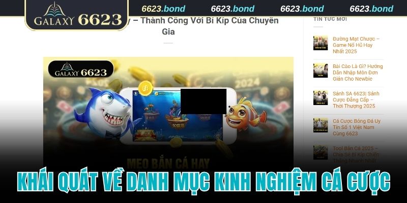 Khái quát về danh mục kinh nghiệm cá cược