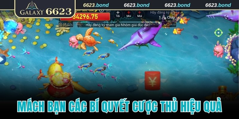 Mách bạn các bí quyết cược thủ hiệu quả