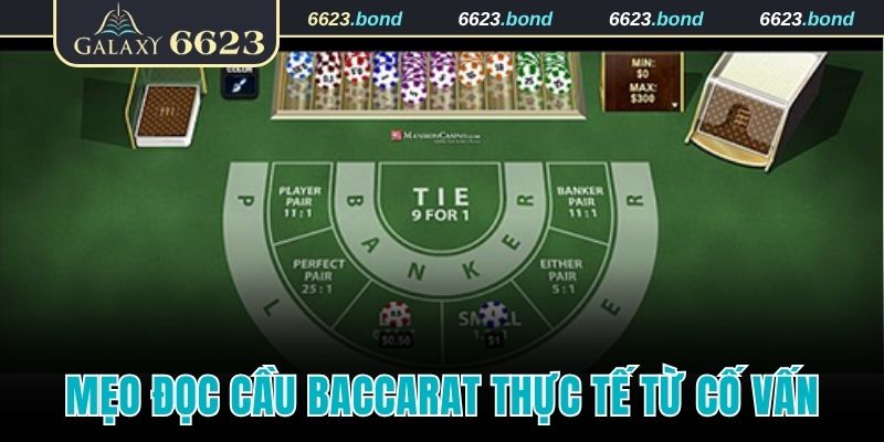 Mẹo đọc cầu Baccarat thực tế từ cố vấn
