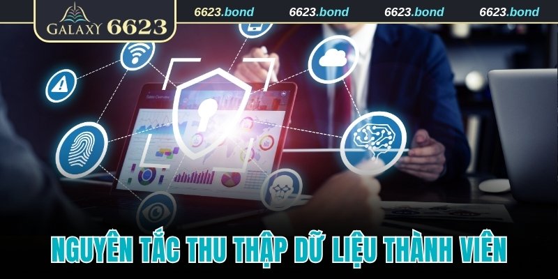 Nguyên tắc thu thập dữ liệu thành viên