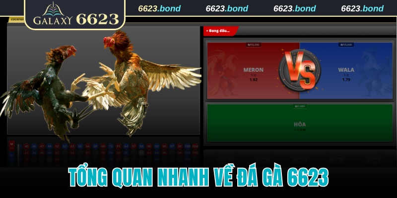Tóm lược về sản phẩm đá gà tại nhà cái