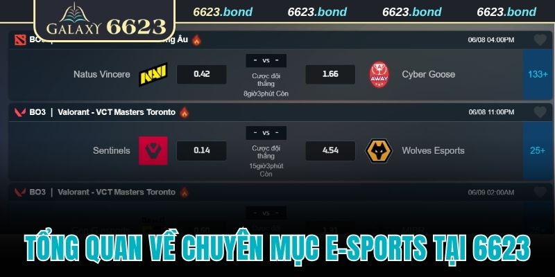 Tổng quan về chuyên mục E-Sports tại 6623